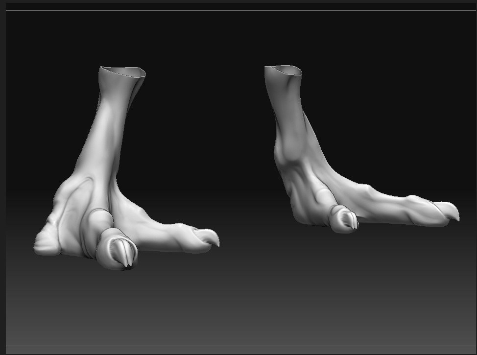 Monster Feet.jpg