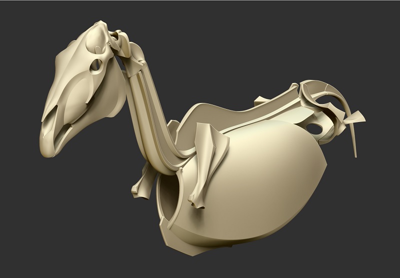 horse_skeleton05.jpg