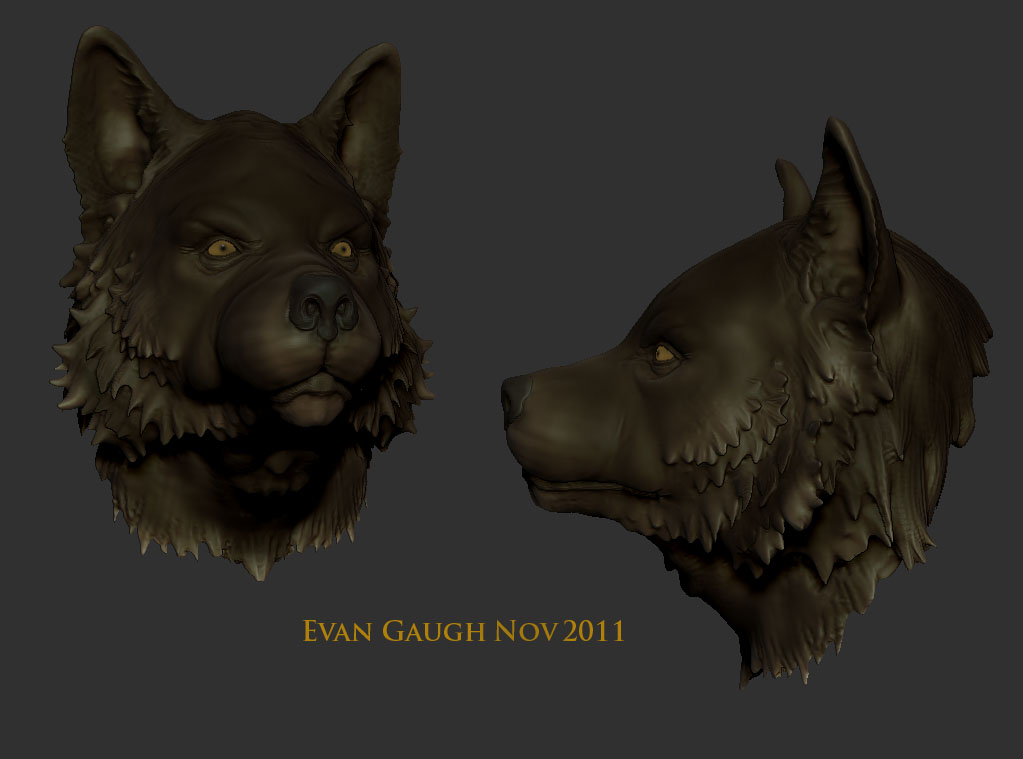 wolfstudy.jpg