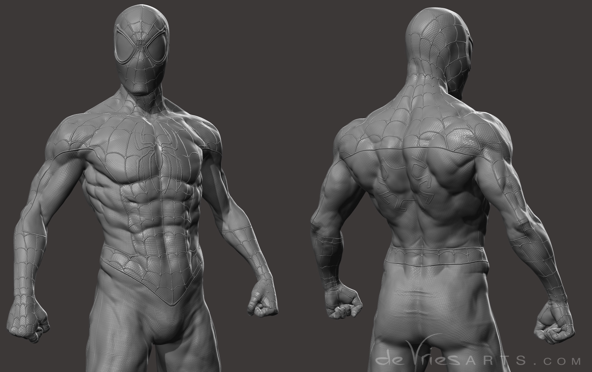 closeup1_spiderman_ThijsDeVries_deVriesArts.jpg