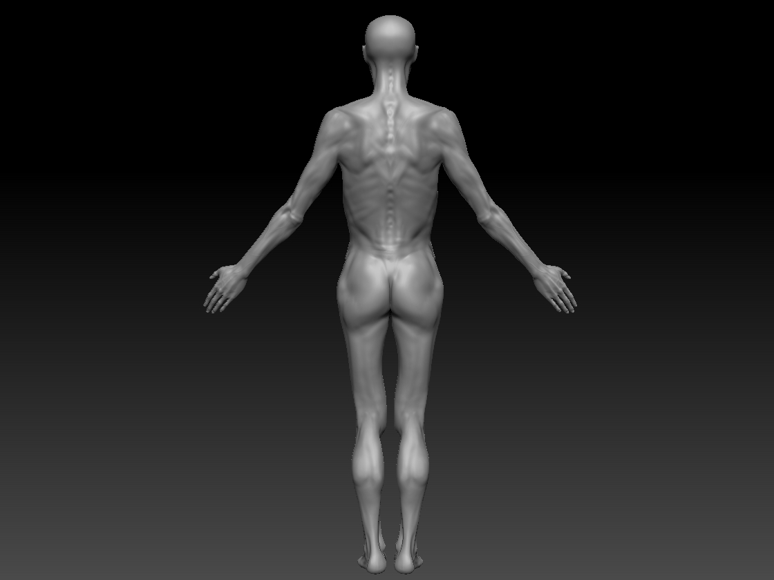 back_1.jpg