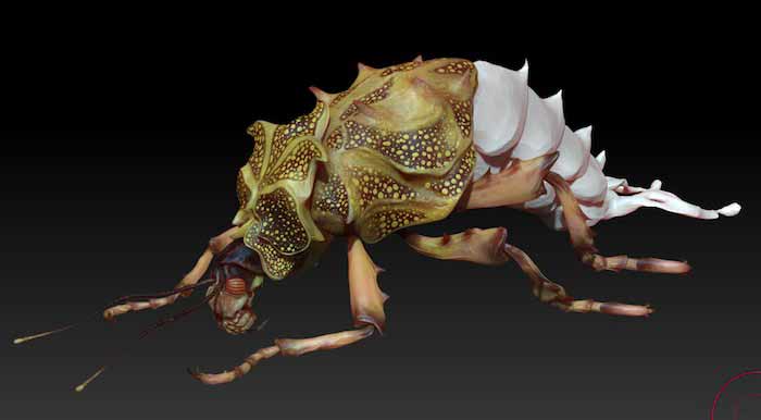 safariBug02.jpg