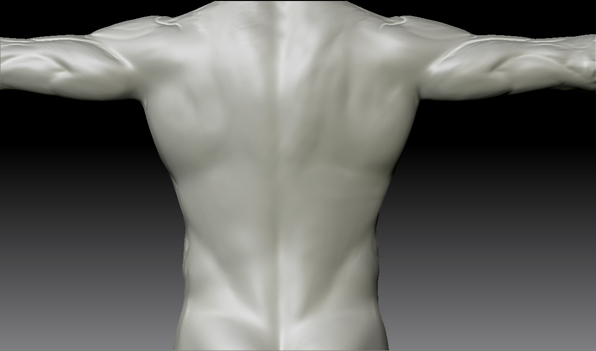 bACK.jpg