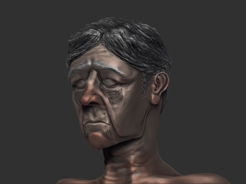 oldmanwthhairpicrendered.jpg