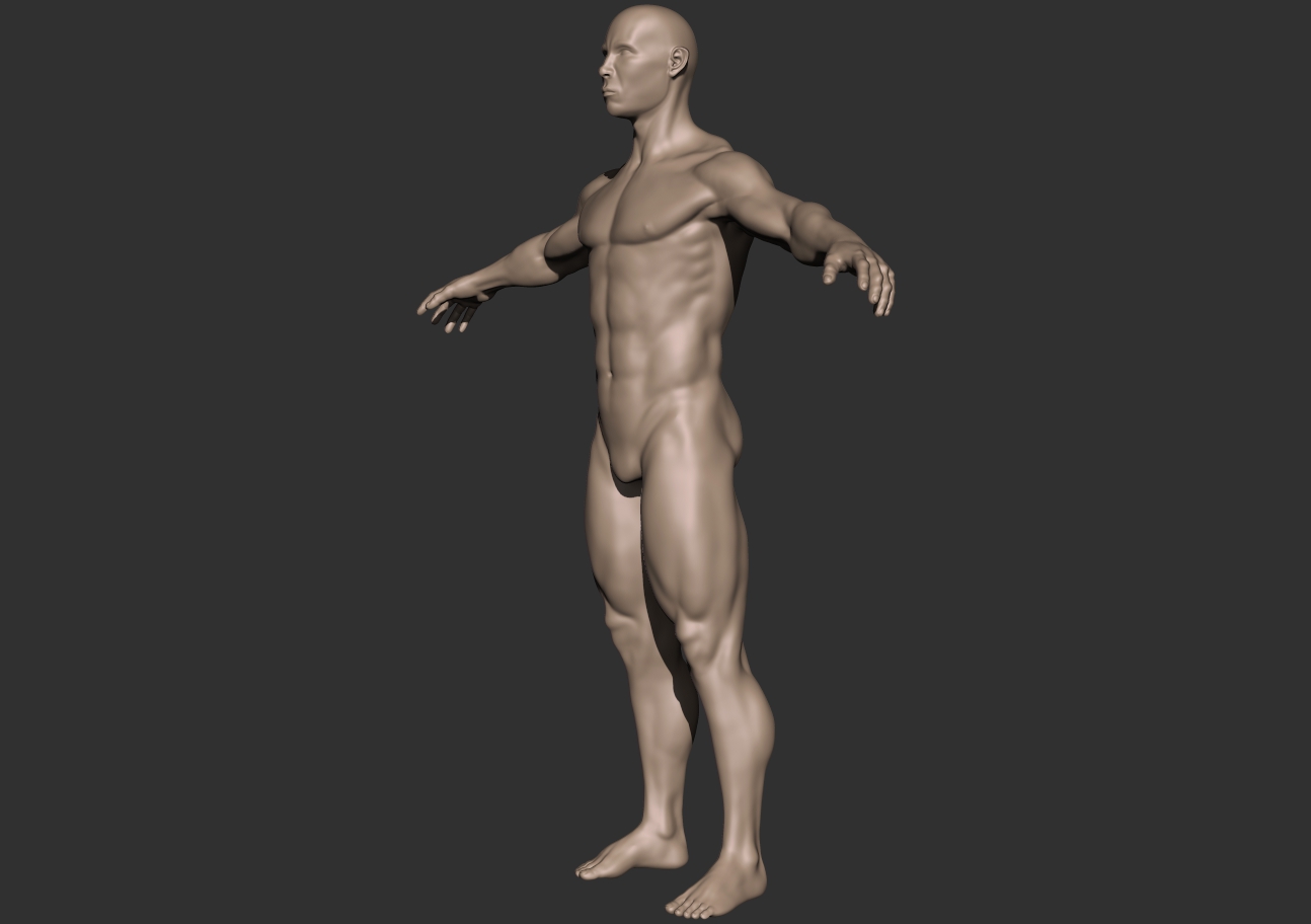 bodybuilder_3 quarter.jpg