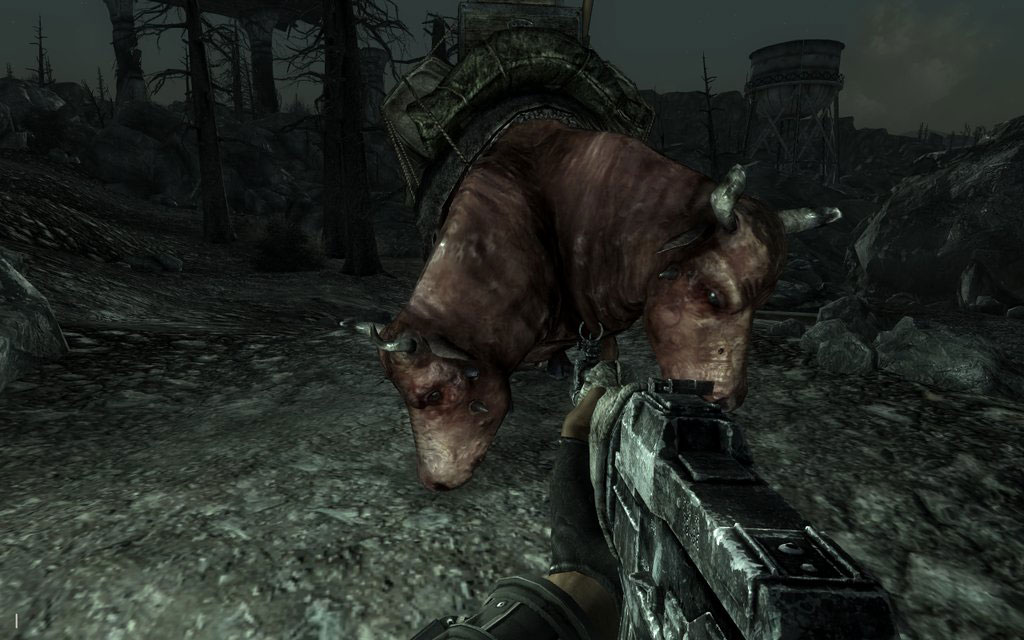 brahmin_feeding.jpg