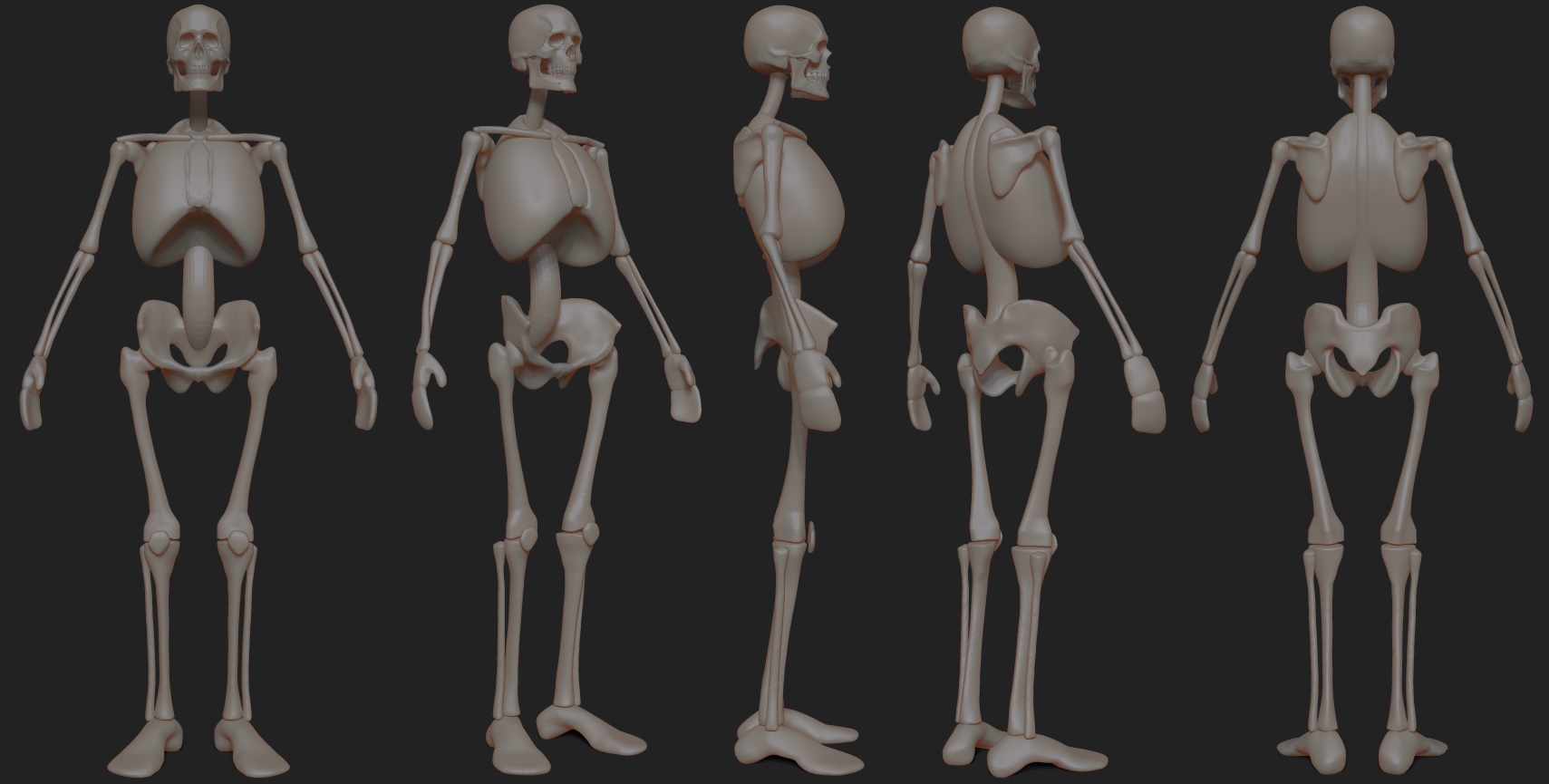 Skeleton02.jpg