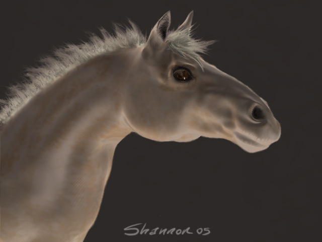 whitehorse2.jpg