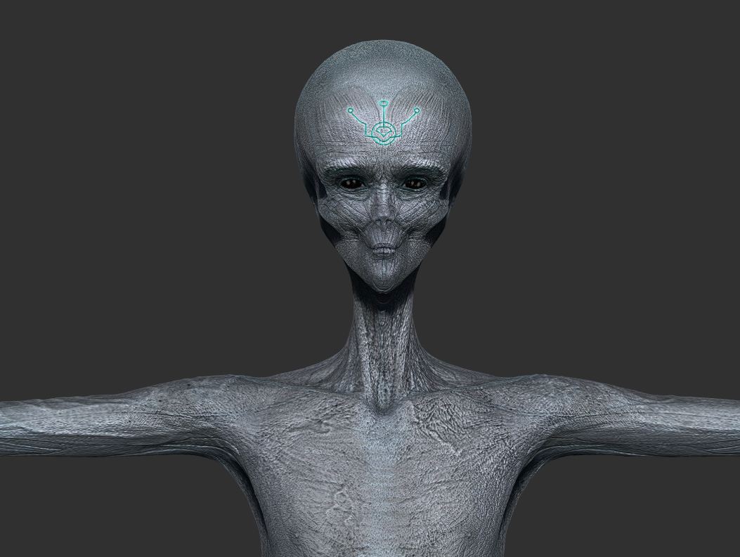 Captura.JPG