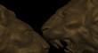 LION 23.jpg