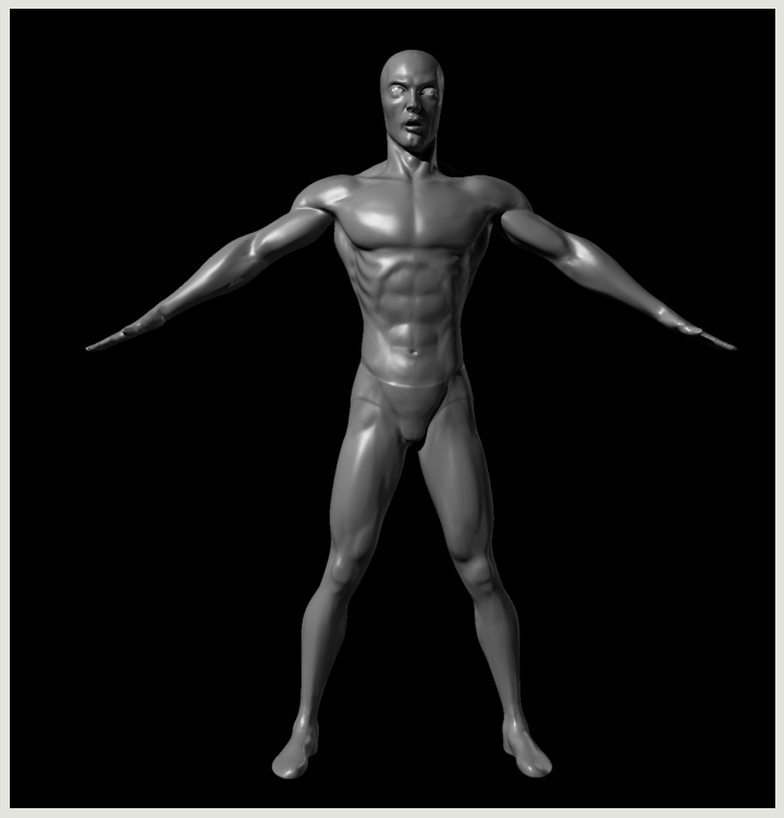 SS Base Pose GreyFront.jpg