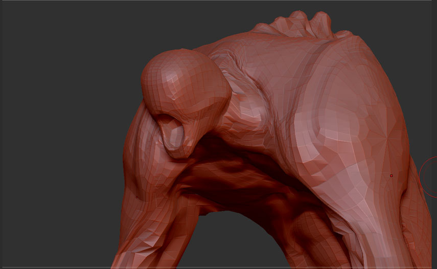 Rebase_01.jpg