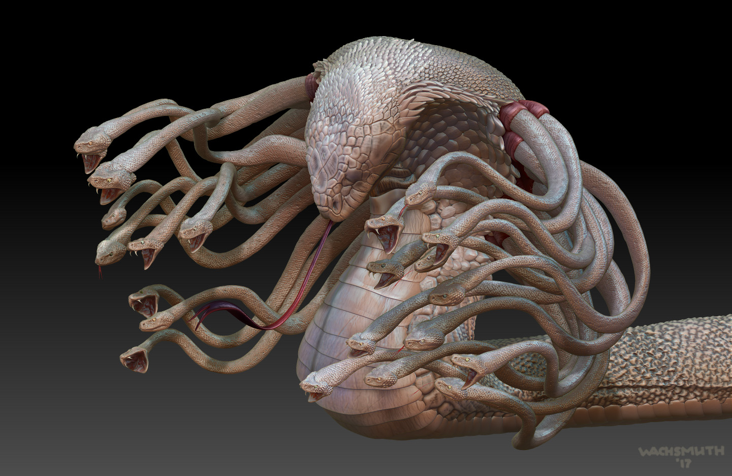 hydra_view_02_4web.jpg