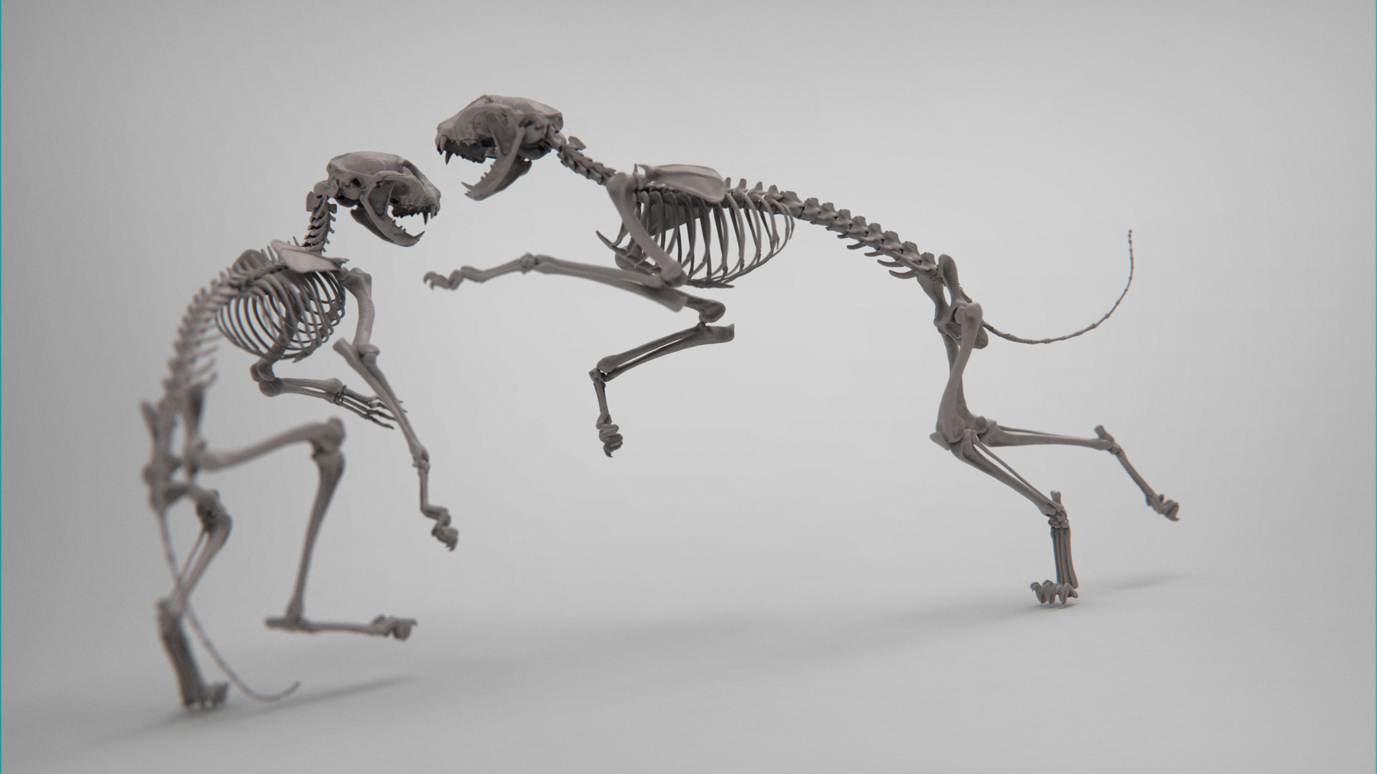 MarcusTrolldenier_SculptingAnatomy_week3_domestic_cat_17.jpg