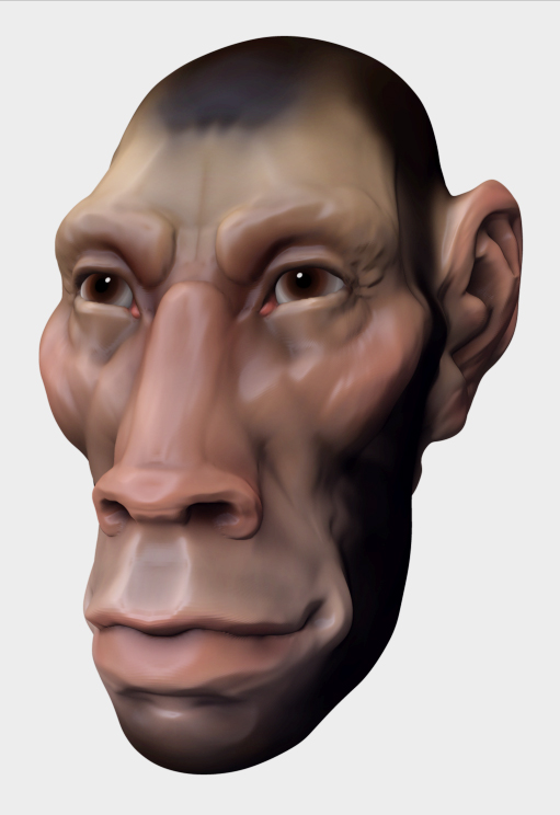 simian_color_MFC2010.jpg