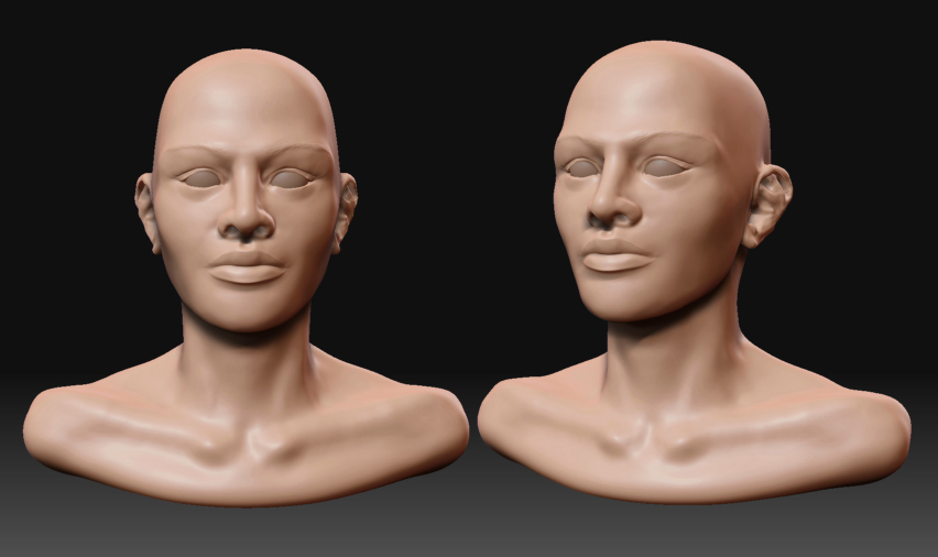 femSculpt.jpg