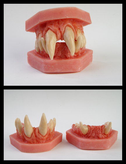 teethsmall.jpg
