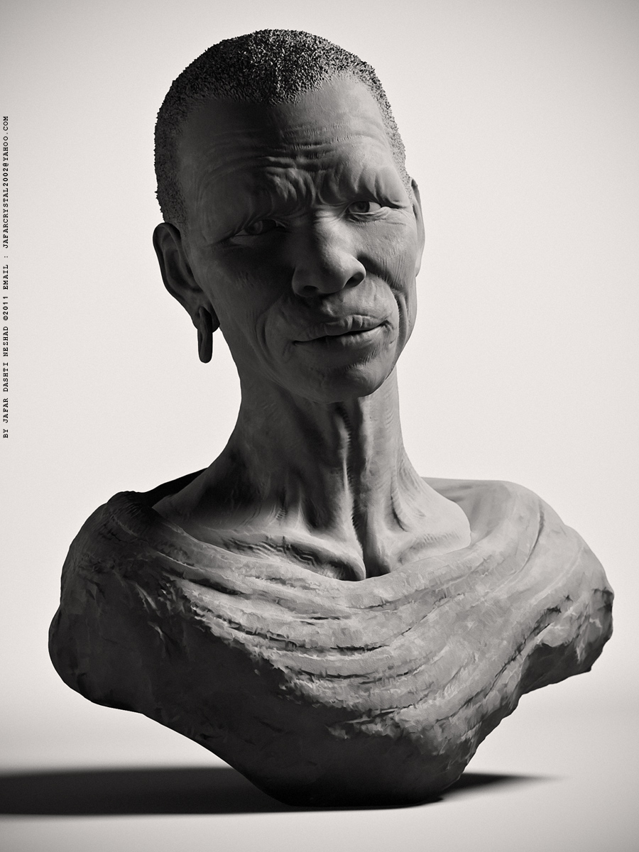 AfricanFwebB&W.jpg