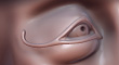 Egyptian-General-thumb.jpg