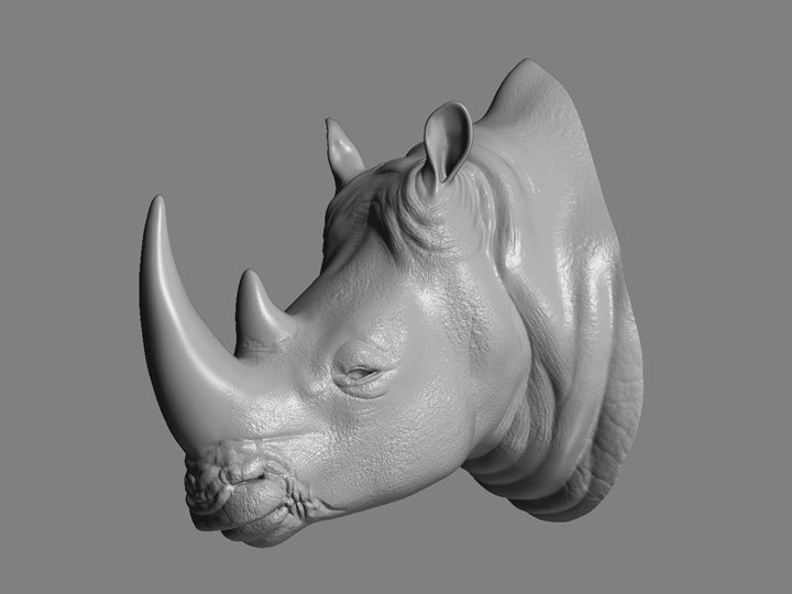 rhino05.jpg