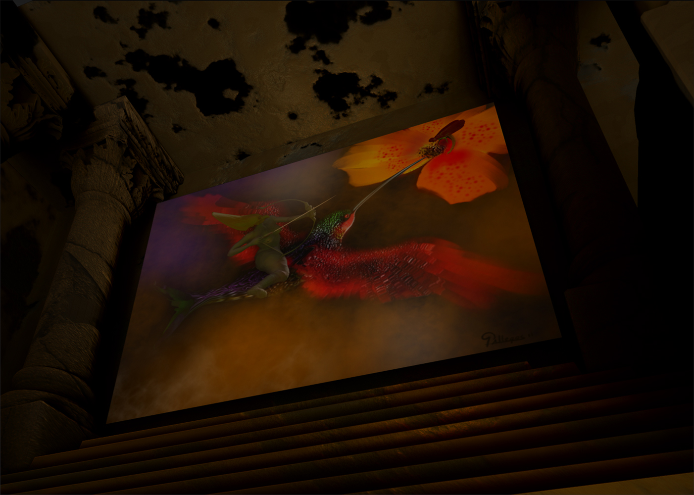 HUMMINGBIRD-RIDER-9.jpg
