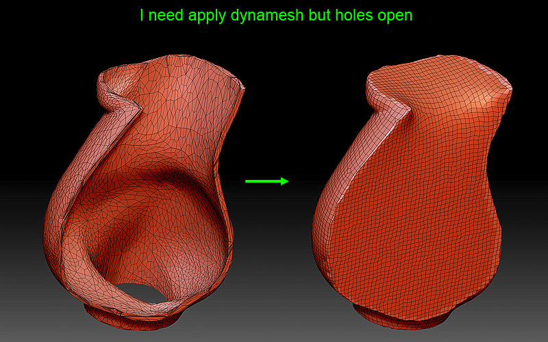 borrame dynamesh t.jpg
