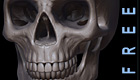 ZBSkullThumbnail.jpg