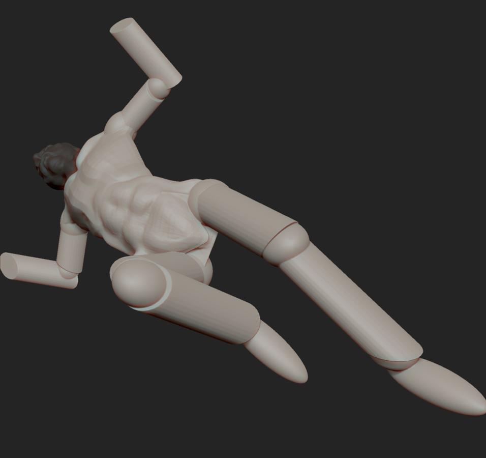 BOXER TORSO PELVIS 3.jpg