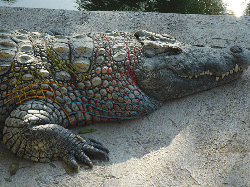 croc-park-and-fishing-21-sept-001.jpg