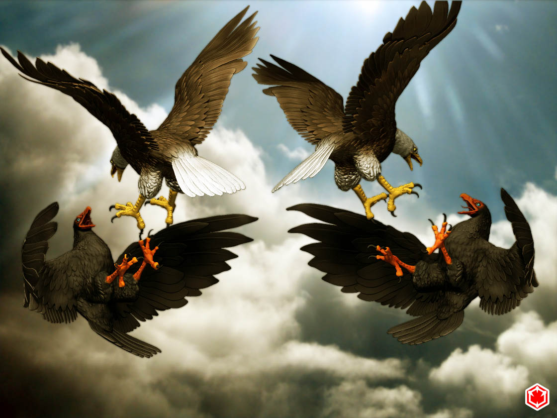 Eagle_2.jpg