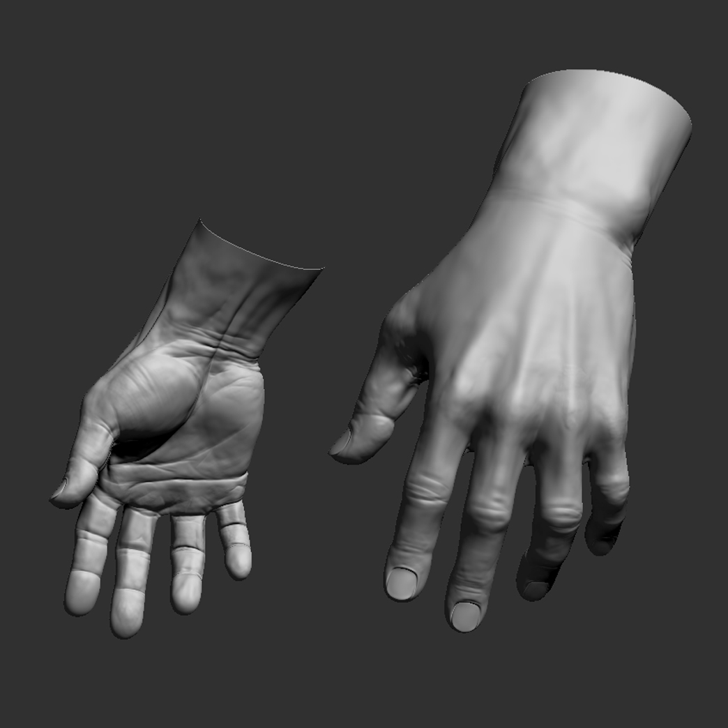 15_zb_hand.jpg