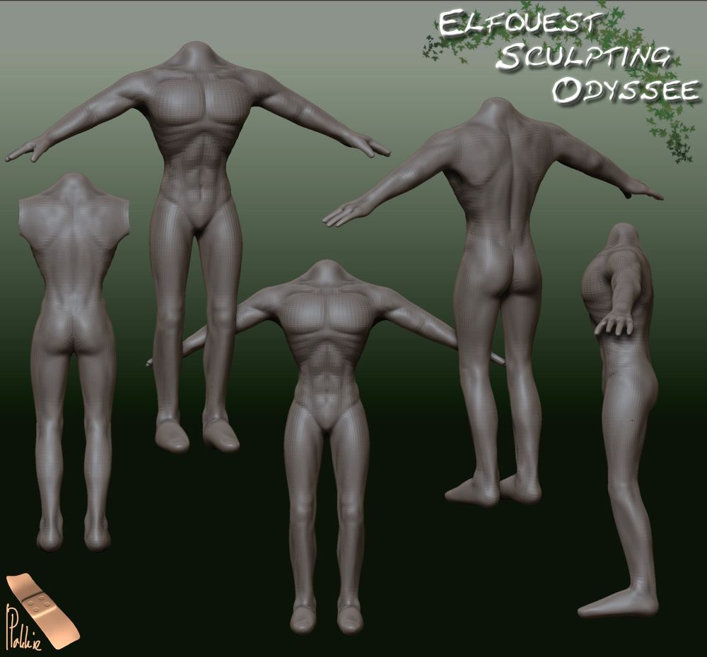 Bodystart4.jpg