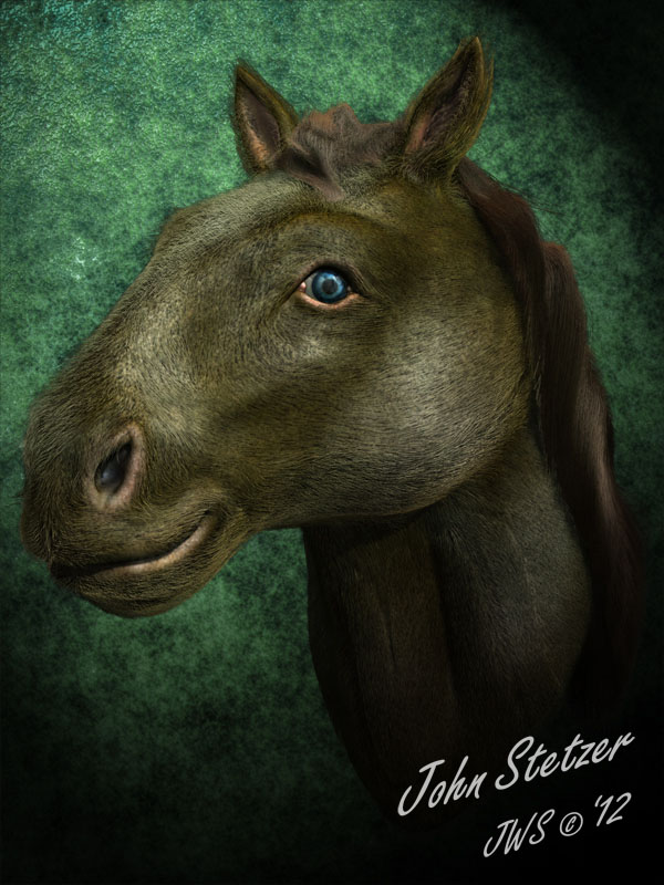 HorsePortrait.jpg
