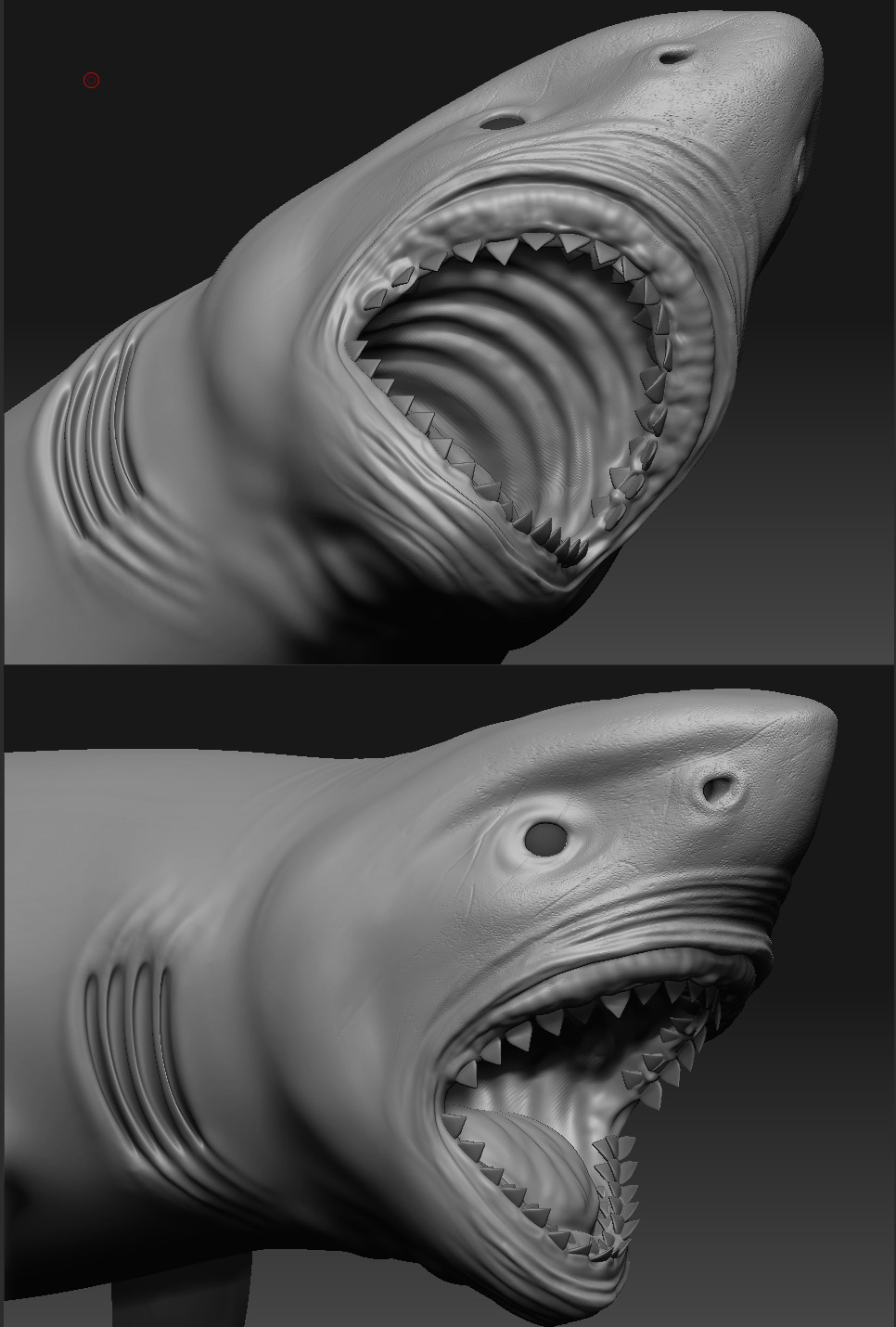 shark3.jpg