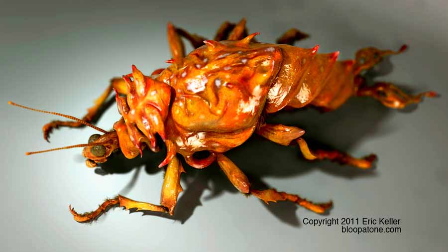 small_sfariBug_03.jpg