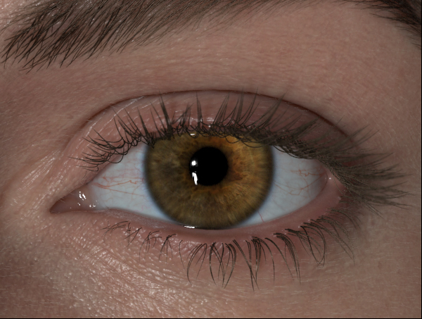 eye render 1178.jpg