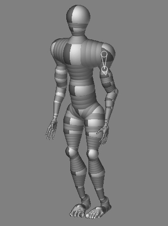 Full Human Zsphere 1.jpg