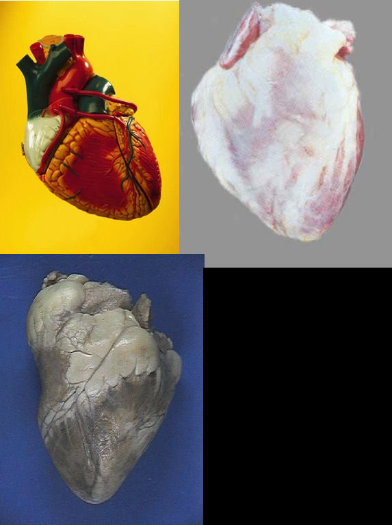 HeartComp.jpg