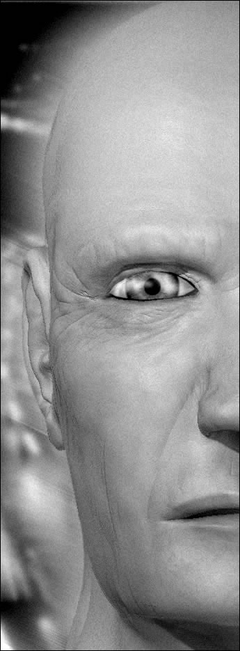 face-grey-2.jpg