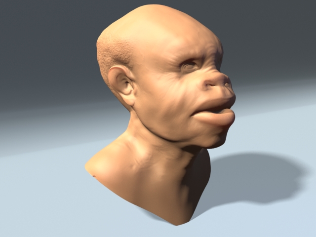 ape head.jpg