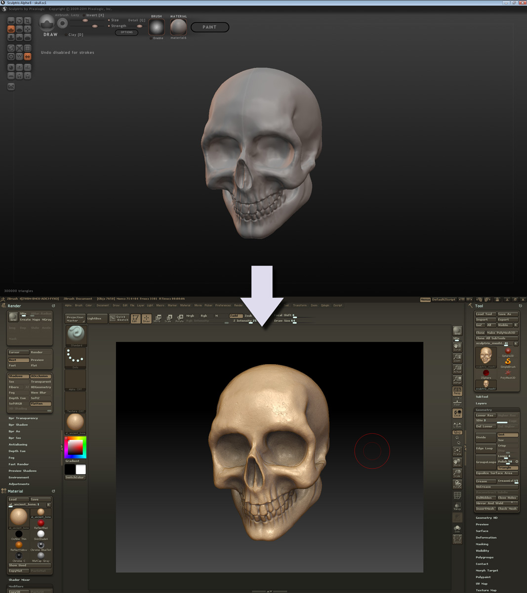 sculptris_to_zbrush.jpg