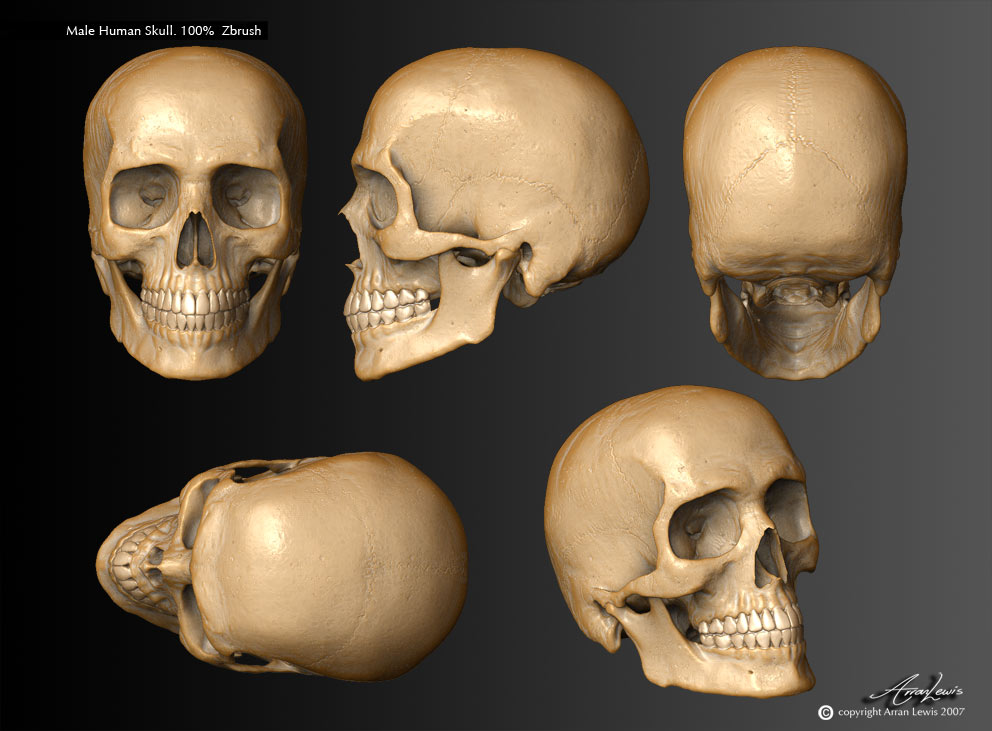 skullangles.jpg