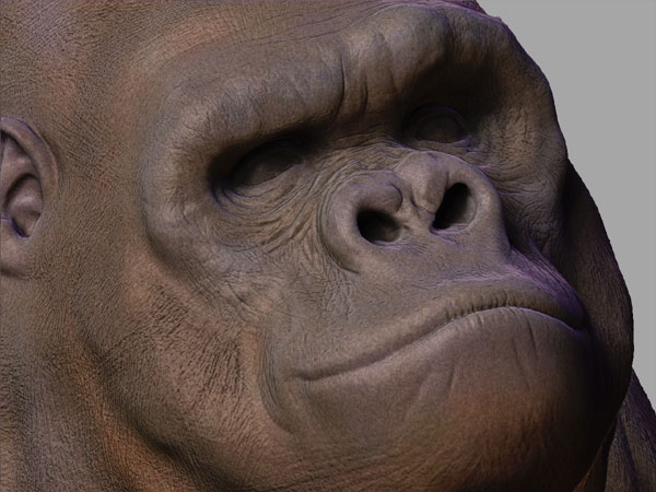 gor_boxscp_03.jpg
