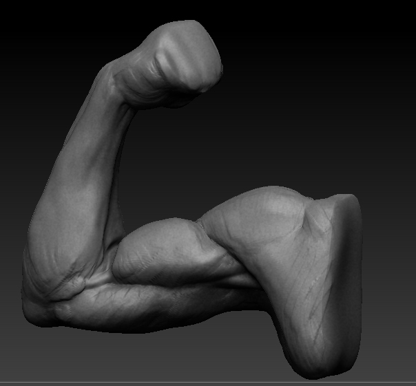 ArmWeek_3.jpg