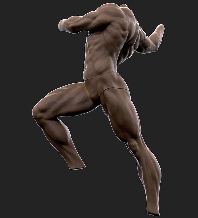 ehren-bienert-torso3.jpg