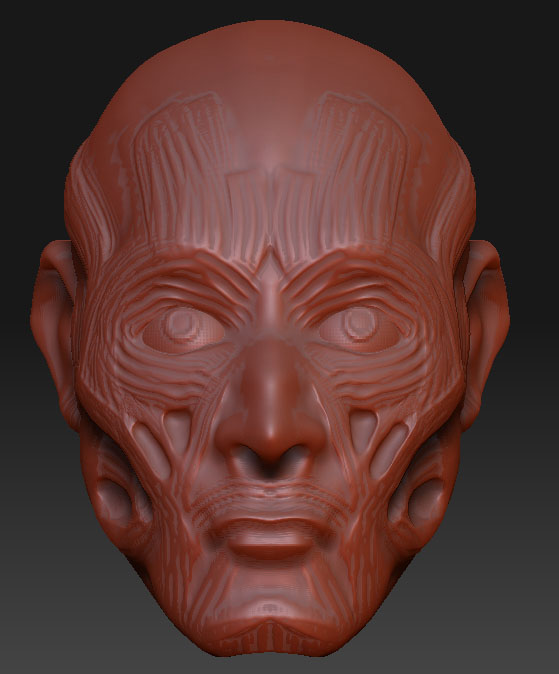 facesculpt5.jpg