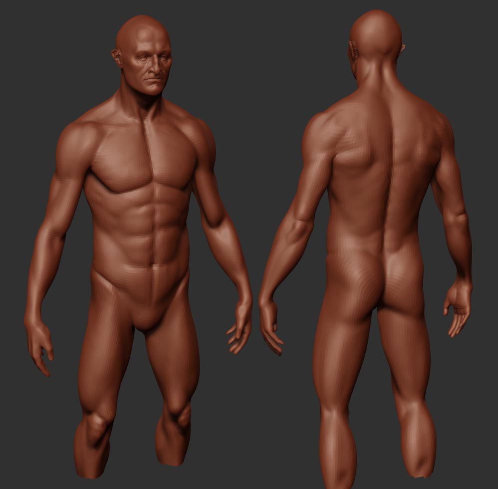 guard wip2.jpg