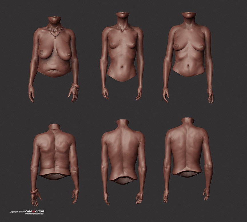 buststudy