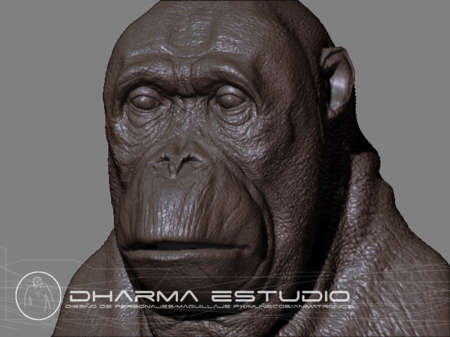 orangutan3.jpg