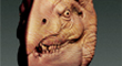 Birdman-thumb.jpg
